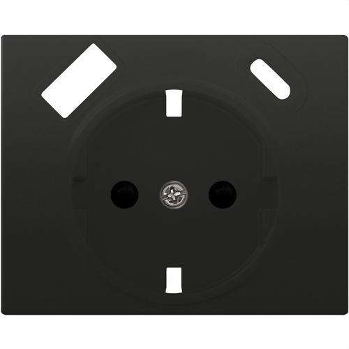 Schuko-Steckdosenabdeckung mit doppeltem USB-Anschluss, anthrazit, Cosso Mega mit der Referenz 22724-USBC-AC von der Marke BJC